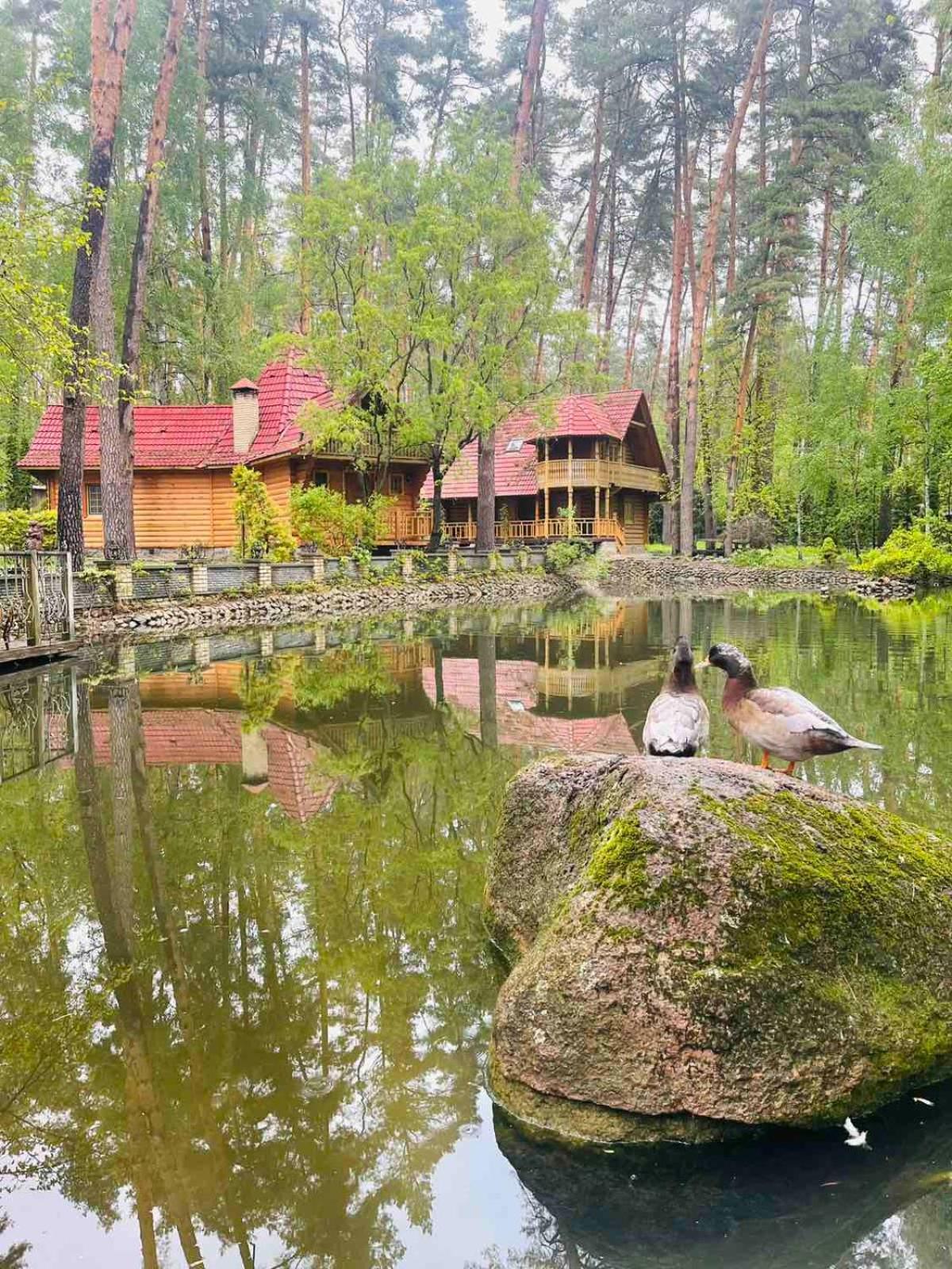 Ethno Complex Ukrayinske Selo Hotell Buzovaya Exteriör bild